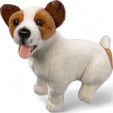 Carl Dick Jack Russel seduto