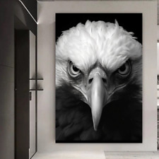 Quadro uccellino aquila bianco