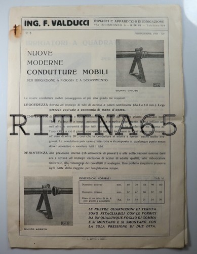 Rimini catalogo conduttori - rimini,