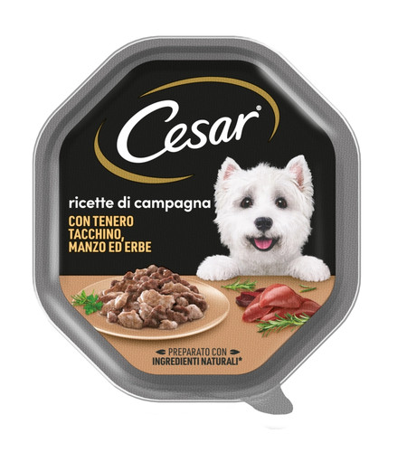 Alimento umido per cani cesar - alimento,