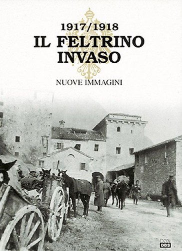 Libri feltrino invaso - libri,