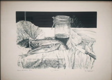 De Andreis litografia natura