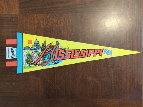 Pennant souvenir vintage nos - pennant,