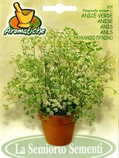 300 Semi/Seeds ANICE VERDE -