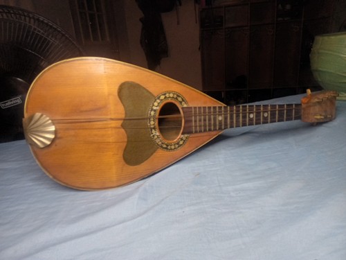 Mandolino posteriore ciotola