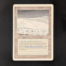 MTG \\>> Tundra (PL) <<//