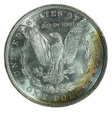 1886 $1 dollaro d'argento