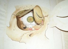 MEDICINA_OCULISTICA_OCCHIO_INU