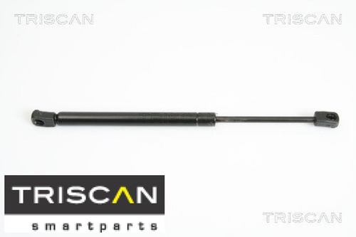 Triscan 871012104 molla - 871012104, gas