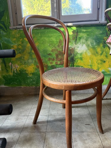 Sedie thonet legno - thonet,