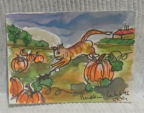 Ooak aceo toppa zucca - ooak, –