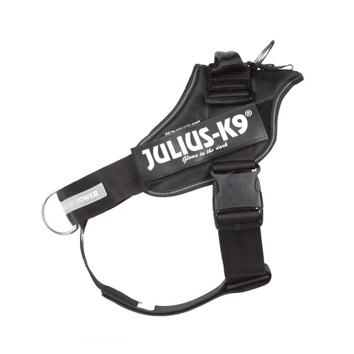 Julius 16idc pbghs 1 - julius-k9, 16idc-pbghs-1