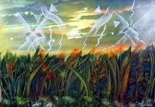 Giuliano Ottaviani, Campo e