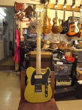 Squier by Fender STL-33 mod