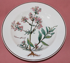 Villeroy Boch V&B Botanica Valeriana offic mW zuppiera Ø22 piatto profondo 8716