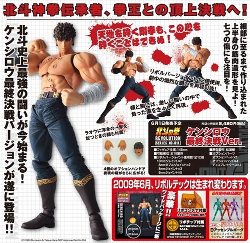 Revoltech kaiyodo hokuto - revoltech,