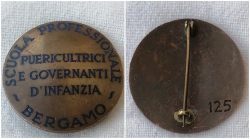 Distintivo scuola governanti - scuola,