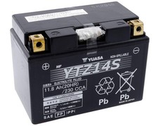 Batteria moto Yuasa YTZ14S Gel
