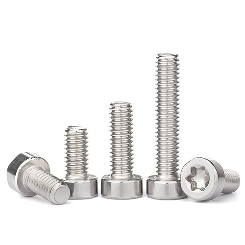Bullone vite torx antifurto