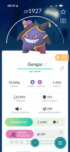 Pokémon gengar banetta - pokémon,