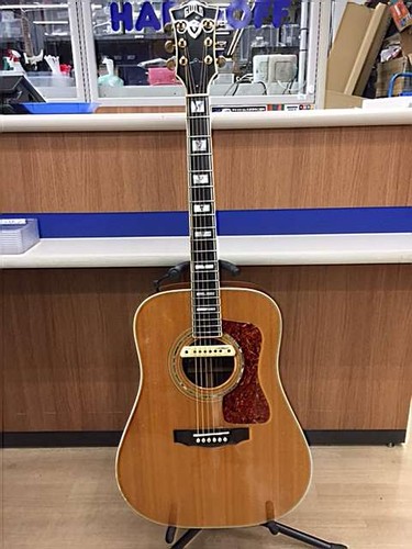 Chitarra acustica guild d55 - chitarra,