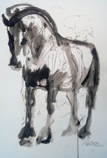 Quadro "Cavallo" carta 63 x 44