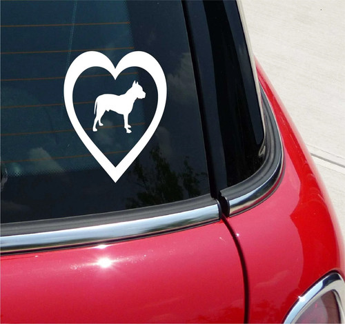 Pitbull heart love pet - in,