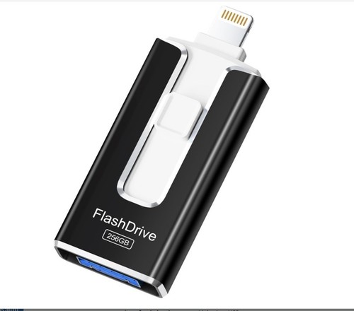 Chiavetta usb 256 4 in - chiavetta,