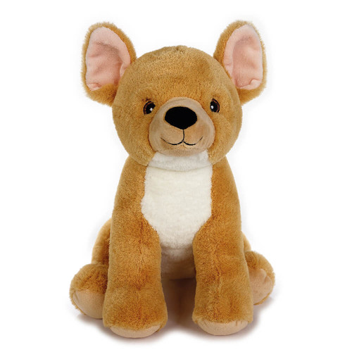 Peluche chiwawa grs - peluche,
