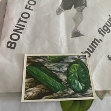 figurina N 60 Album conosciamo