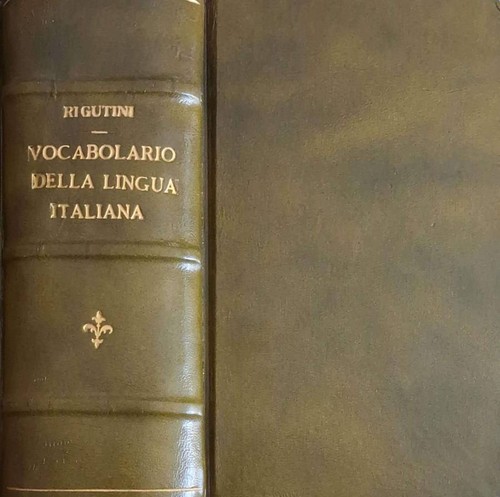 Vocabolario della lingua