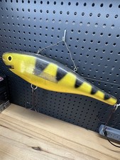 Rara esca persico gigante 25"