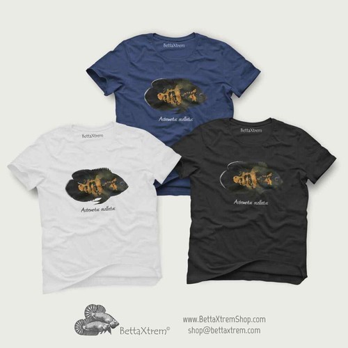 Shirt cichlid - shirt,