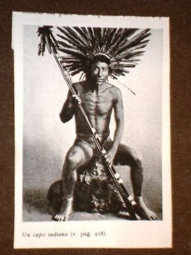 Capo indiano indiani - capo,