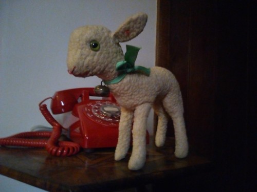 Antico agnello steiff anni - ,
