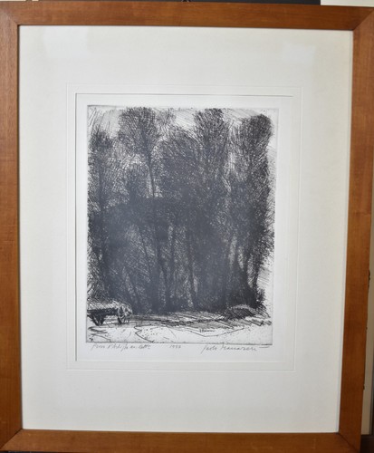 Paolo manaresi acquaforte - paolo,