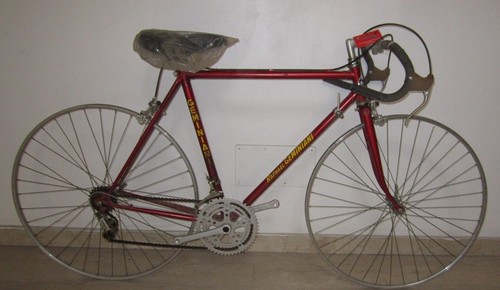 Bici bicicletta raphael - bici,