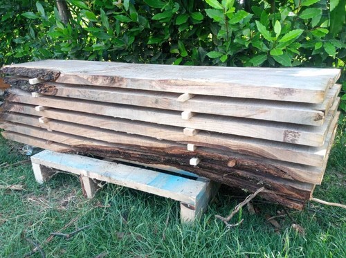 Tavola grezza legno - grezza,