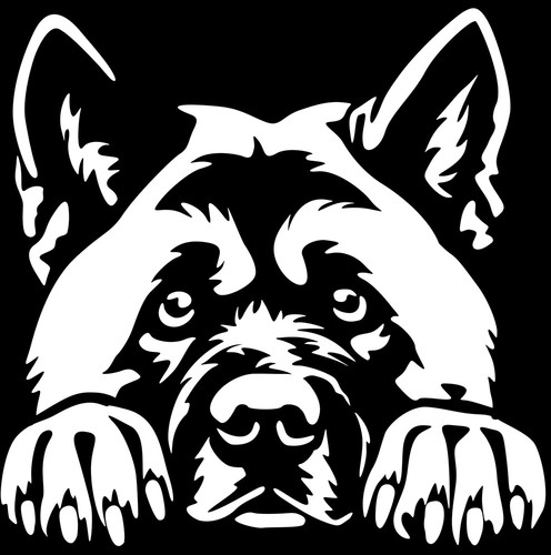 Adesivo american akita - adesivo,