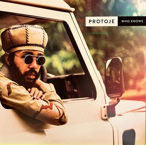 Mega rare protoje chronixx - &,