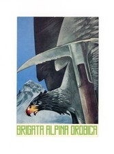 Alpini Brigata Alpina Orobica Aquila Piccozza Militaria Cartolina
