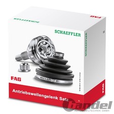 FAG Giunto Di Trasmissione