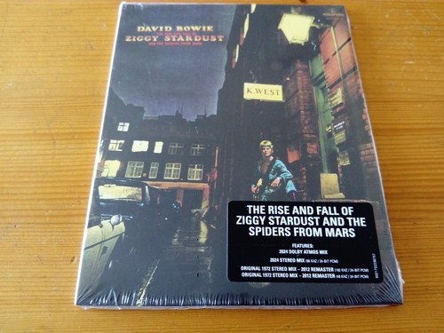 David bowie ziggy stardust - david,