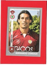CALCIATORI Panini 2008-09