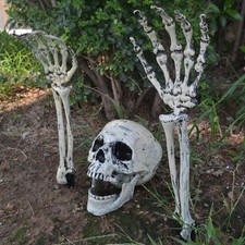 Skeleton Bones Prop Ground