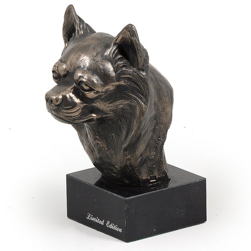 Chihuahua pelo lungo testa - a,