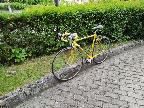 Bici corsa olmo - da,