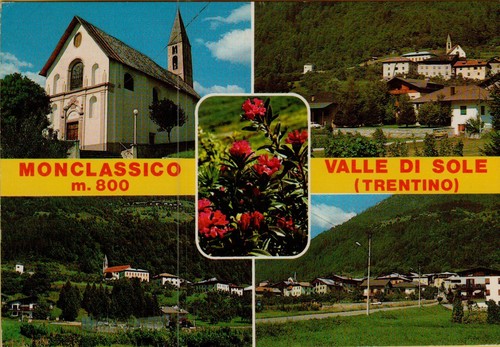 142769 monclassico valle - monclassico, di