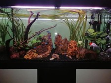 acquario con Mobiletto usato Askoll Tenerif 180 Lt Completo Di Filtro Esterno.