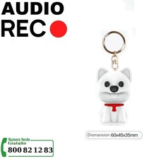 MICRO MINI REGISTRATORE VOCALE AUDIO SPY SPIA  VOICE RECORDER AMBIENTALE  USB